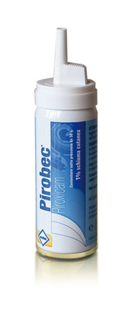 PIROBEC*CUT SCHIUMA 50G 1% - farmacialombardia.it