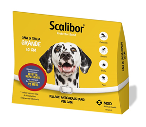 SCALIBOR PROTECTOR BAND*BI65CM - farmacialombardia.it