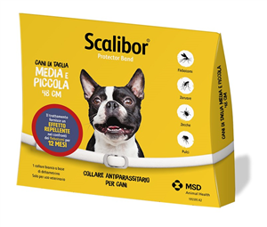 SCALIBOR PROTECTOR BAND*BI48CM - farmacialombardia.it
