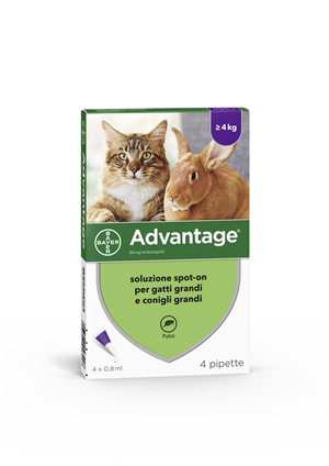 ADVANTAGE*4PIP 0,8ML SPOTON - farmacialombardia.it