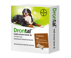 DRONTAL MULTI AR CARNE XL*2CPR - farmacialombardia.it