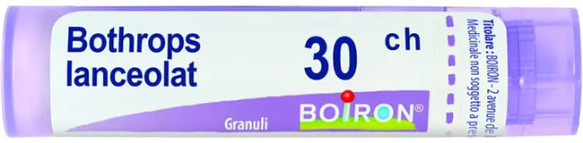 BOTHROPS LANCEOLATUS 30CH GRANULI 4G - farmacialombardia.it