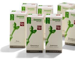 BETULLA PUBESCENS GEMME MACERATO GLICERICO 50 ML - farmacialombardia.it