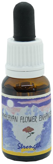 STRENGTH ESSENZA 15 ML 1 PEZZO - farmacialombardia.it