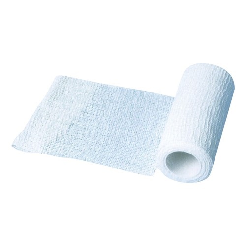 BENDA ELASTICA ZINCABEND CON PASTA ALL'OSSIDO DI ZINCO CM10X5M 1 PEZZO - farmacialombardia.it
