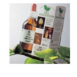 FICO MACERATO GLICERICO 100 ML - farmacialombardia.it