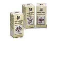 ECHINACEA ESTRATTO ANALCOLICO 50 ML ARTICOLO 813 - farmacialombardia.it