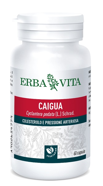 CAIGUA 60 CAPSULE 400 MG - farmacialombardia.it