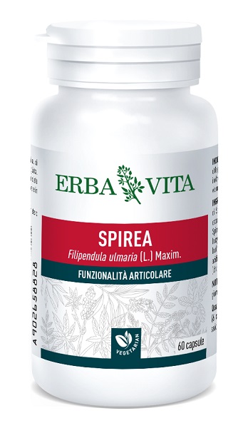 SPIREA ULMARIA 60 CAPSULE 400 MG - farmacialombardia.it