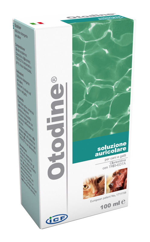 OTODINE DETERGENTE LIQUIDO 100 ML - farmacialombardia.it