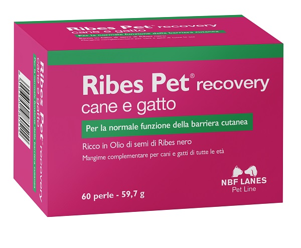 RIBES PET RECOVERY BLISTER 60 PERLE - farmacialombardia.it