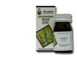 SALICE 60 CAPSULE 500 MG - farmacialombardia.it