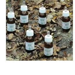 KA PLANTA OLIO MASSAGGIO 30 ML - farmacialombardia.it