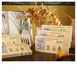 RUSCUS ACUL COMP 12F STV - farmacialombardia.it