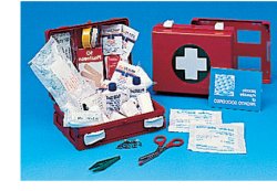 CASSETTA PRONTO SOCCORSO FAMILY PER CAMPEGGIO, BRICOLAGE, CASA E UFFICIO. CONTENITORE IN ABS ANTIURTO CON SUPPORTO PER IL FISSAGGIO ALLA PARETE - farmacialombardia.it