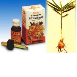ZENZERO OLIO ESSENZIALE PURO 10 ML - farmacialombardia.it