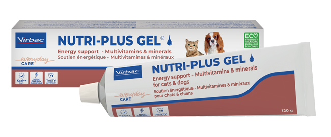 NUTRIPLUS GEL PASTA ORALE 120 G - farmacialombardia.it