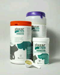 GLAZARDERM FLACONE 500 G - farmacialombardia.it