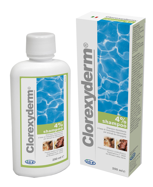 CLOREXYDERM SHAMPOO 4% 250 ML - farmacialombardia.it