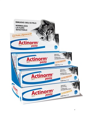 ACTINORM PASTA GATTI 65 G - farmacialombardia.it
