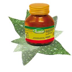 OLIO DI BORRAGINE 50 PERLE - farmacialombardia.it