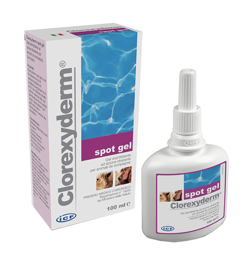 CLOREXYDERM SPOT GEL 100 ML - farmacialombardia.it