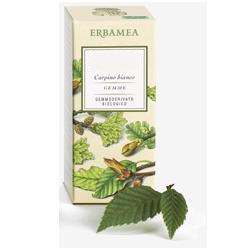 AESCULUS HIPPOCASTANUM GEMME GEMMODERIVATO 50 ML - farmacialombardia.it