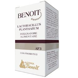 BENOIT LACTOBACILLUS PLANTHARUM 30 CAPSULE - farmacialombardia.it