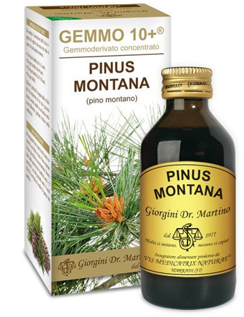 GEMMO 10+ PINO MONTANO 100 ML LIQUIDO ANALCOLICO - farmacialombardia.it