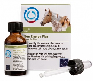 AKIN ENERGY PLUS CROTON 20 ML - farmacialombardia.it
