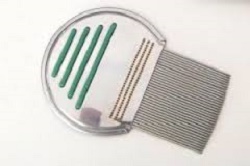 PETTINE ACCIAIO PER RIMOZIONE PIDOCCHI - farmacialombardia.it