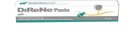 DIRENE PASTA 15 ML - farmacialombardia.it