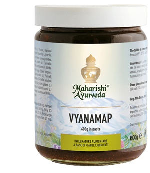 VYANAMAP PASTA 600 G - farmacialombardia.it