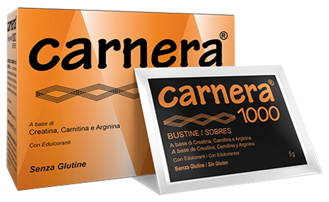 CARNERA 1000 18 BUSTINE - farmacialombardia.it