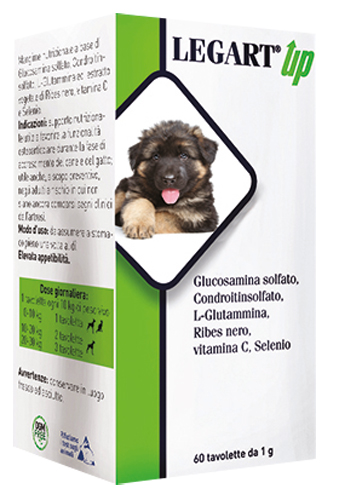 LEGART UP 60 COMPRESSE DA 1 G - farmacialombardia.it