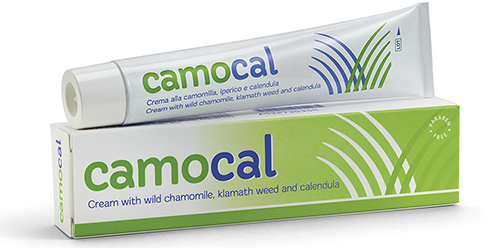 CREMA VEGETALE PER LE AFFEZIONI ANALI CAMOCAL 50 ML - farmacialombardia.it