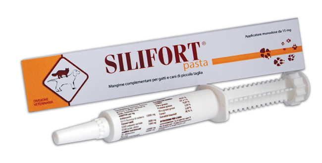 SILIFORT PASTA OS SIRINGA 30 G - farmacialombardia.it
