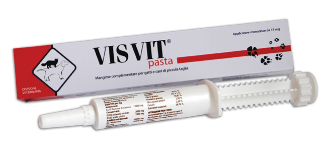 VISVIT PASTA OS SIRINGA 15 G - farmacialombardia.it