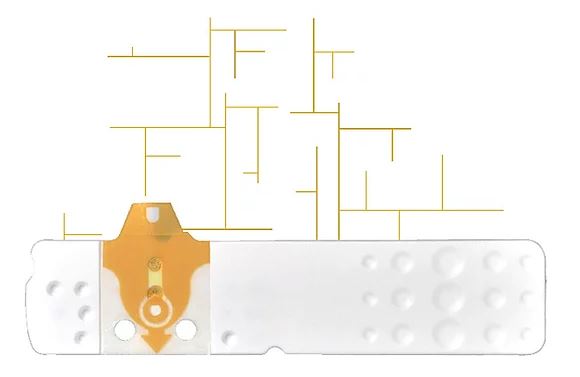 STRISCE MISURAZIONE GLICEMIA LINEA D ORO 25 PEZZI - farmacialombardia.it