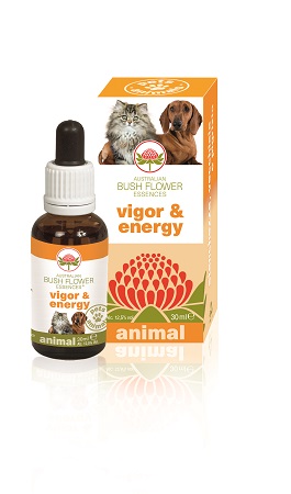 VIGOR & ENERGY 30 ML - farmacialombardia.it