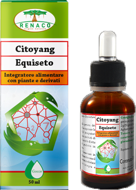CITOYANG EQUISETO GOCCE 50 ML - farmacialombardia.it