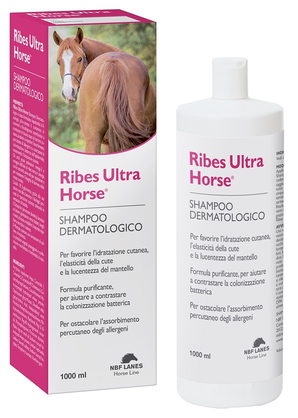 RIBES HORSE ULTRA SHAMPOO DERMATOLOGICO 1 LITRO - farmacialombardia.it