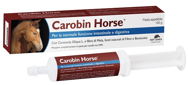 CAROBIN HORSE PASTA APPETIBILE SIRINGA 100 G - farmacialombardia.it