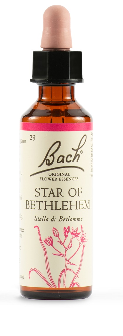 STAR OF BETHL ORIG 20 ML - farmacialombardia.it