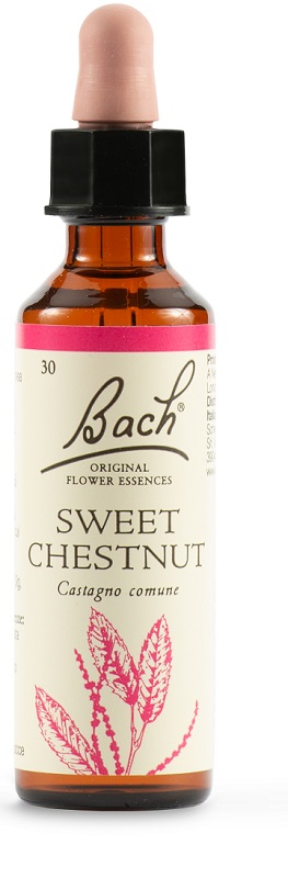 SWEET CHEST BACH ORIG 20 ML - farmacialombardia.it