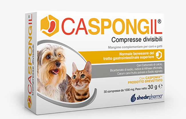 CASPONGIL 30 COMPRESSE DIVISIBILI - farmacialombardia.it