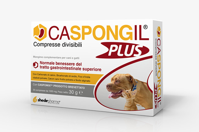 CASPONGIL PLUS 30 COMPRESSE - farmacialombardia.it