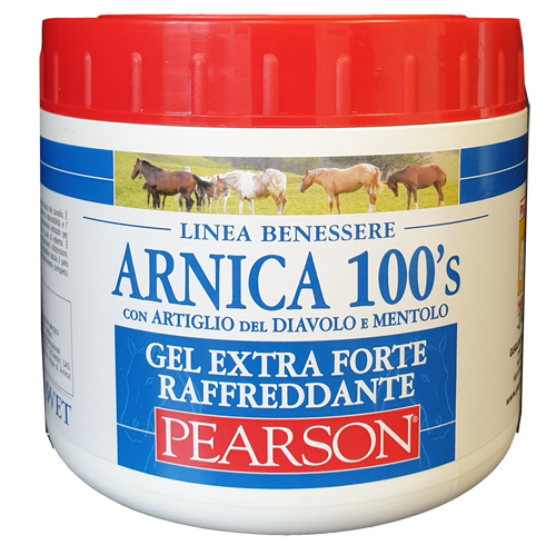 ARNICA 100'S EXTRA FORTE 500 ML - farmacialombardia.it