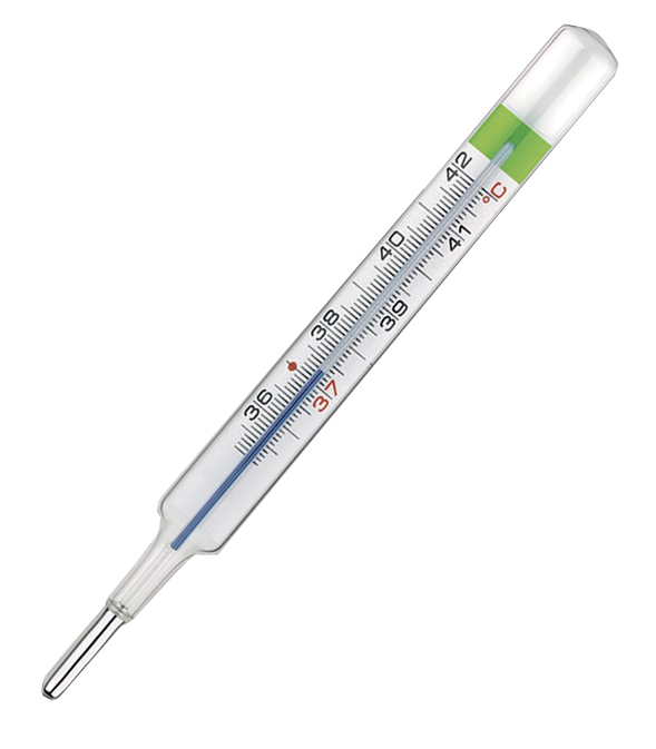 COLPHARMA THERMO GREEN PLUS TERMOMETRO - farmacialombardia.it