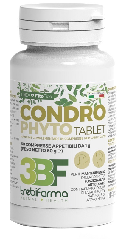 CONDROPHYTO 60 COMPRESSE DA 1 G - farmacialombardia.it